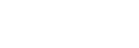 Noema